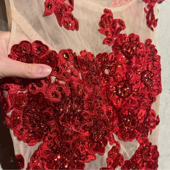 Nina Nischelle Red Floral Sheer Cocktail Party Prom Dress Size 12 Sewn In Pads - Picture 4 of 11